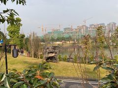 -枫香湖儿童公园