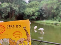 -广州动物园