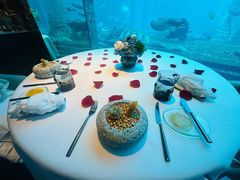 -亚特兰蒂斯•OSSIANO奥西亚诺海底餐厅