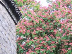 -老门东历史文化街区