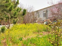 -小仙居·农家宴烤羊· 农庄