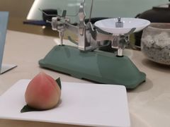 -青山研究所Aoyama Lab