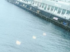 -Cupping Room(Harbour City)