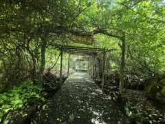 -海口火山口国家地质公园