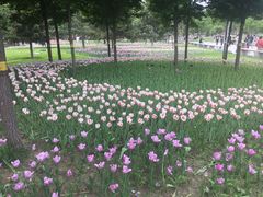 -长春公园(普阳街道)