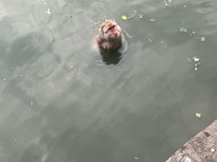-合肥野生动物园
