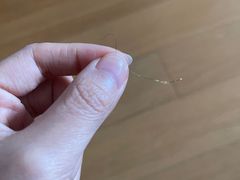 -华莱士·全鸡汉堡(佛城西路店)