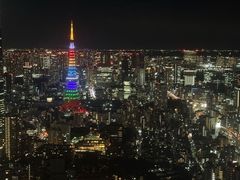 -六本木新城展望台(东京城市景观)