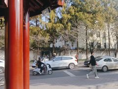 -鸡鸣赐茶(鸡鸣寺路店)