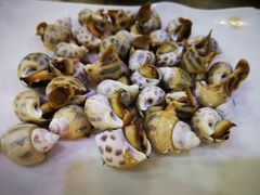 白灼花螺-巽寮印象美食部落餐厅·海鲜·地方特色菜(惠州体验店)