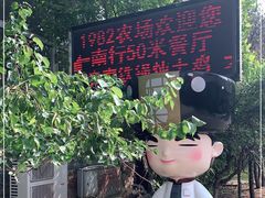 -1982农场