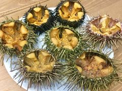 -海胆小馆(东北水饺·春柳店)