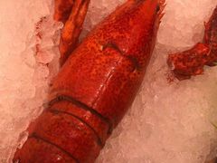 -上清·三文鱼鲜寿司(同德店)