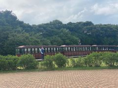 -济州森林小火车生态公园