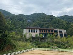 -宁海安岚·南溪阁全日餐厅