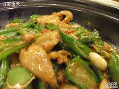 酱爆肥肠-金百万烤鸭店(马甸店)