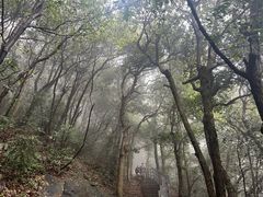 -灵顺寺