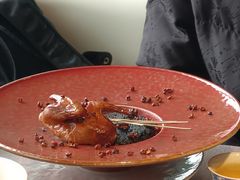 -南堂馆·新川菜(春熙路店)