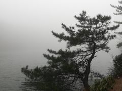 -四明山国家森林公园