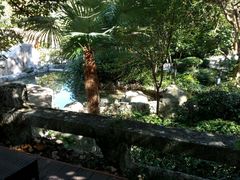 -黄山温泉国际旅游度假区