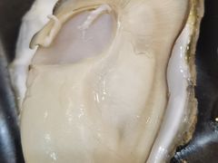 -蚝抵食·湛江生蚝(湾北路店)
