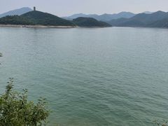 -望湖烤鱼