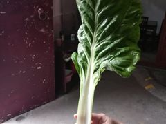 -董府·古宅餐厅
