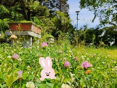 -贵州省植物园