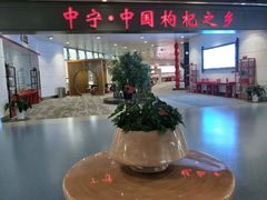 -银川河东国际机场