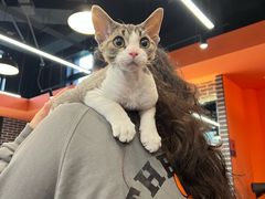-加伍磅健身(千树店)