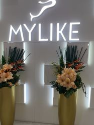 -深圳美莱医疗美容医院