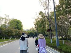 -洋湖国家湿地公园