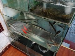 -观桥阁(锦溪店)