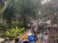 -海南分界洲岛旅游区