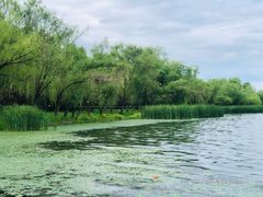 -长春市南湖公园