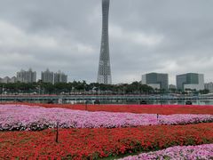 -海心沙亚运公园