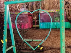 -长白岛森林公园