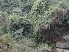 -太和古洞