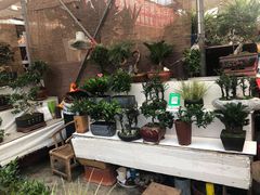 -秦美花卉(天朗·莱茵小城2期店)