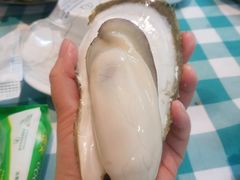 -豪园台山碳烧生蚝(蓬江江华店)