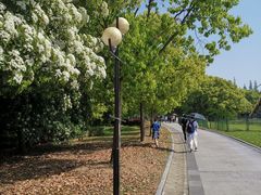 -东方绿舟景区