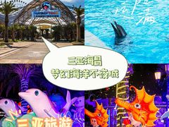 -三亚海昌梦幻海洋不夜城