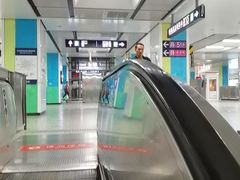 -宋家庄(地铁站)