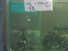 -真浪大家乐海鲜餐馆