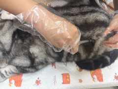 -御宝贝24h宠物医院·转诊中心·CT核磁血透中心(厦门总院)