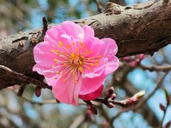 -渭河城市绿地运动公园