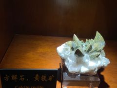-青岛德国总督楼旧址博物馆