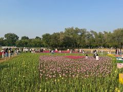 -北陵公园