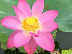 -天津东丽湖风景区