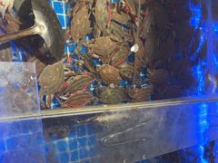 -青岛蓝海御华大饭店（金沙滩店）·蓝钻国际美食自助百汇